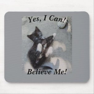 Mousepad Gato Preto Com Rato Personalizável Foto De Gato En