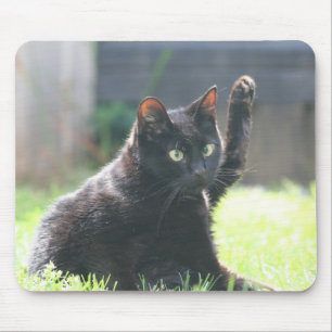 Mousepad Gato preto do gatinho