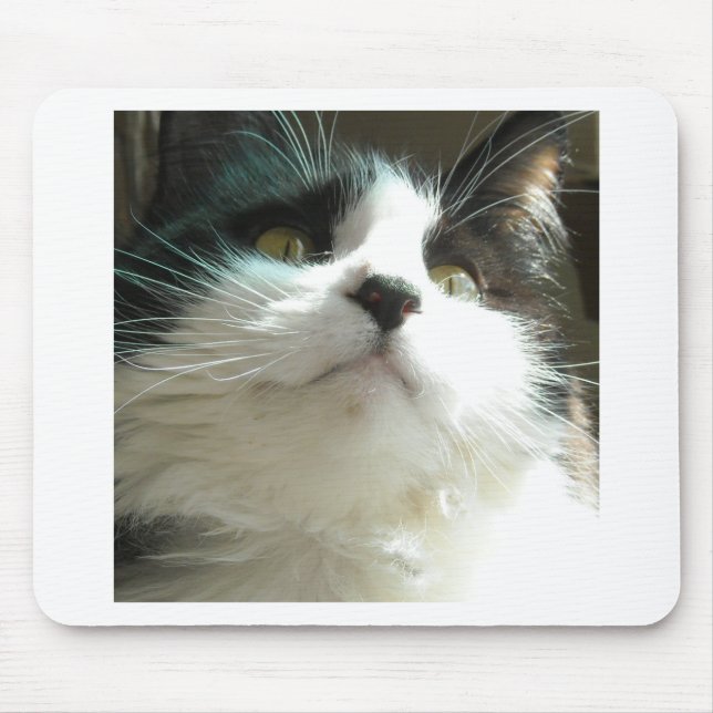 Mousepad Gato Preto e Branco (Frente)
