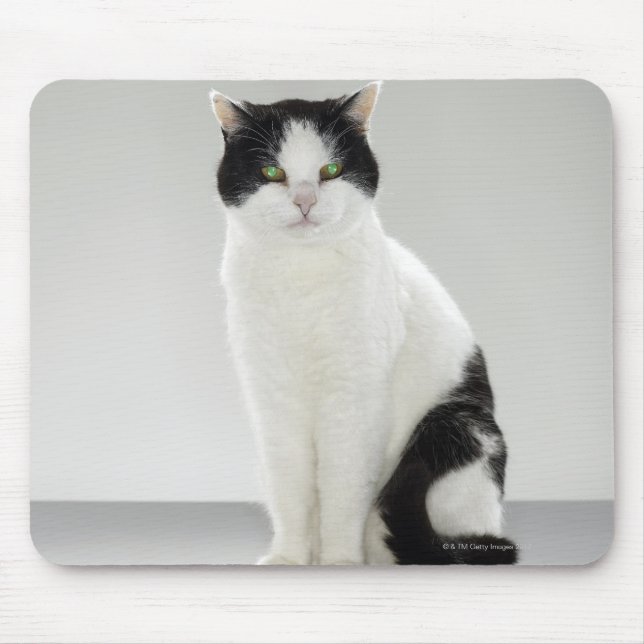 Mousepad Gato preto e branco com olhos verdes brilhantes (Frente)
