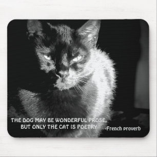 Mousepad Gato Preto Maine Coon com Provérbio Francês