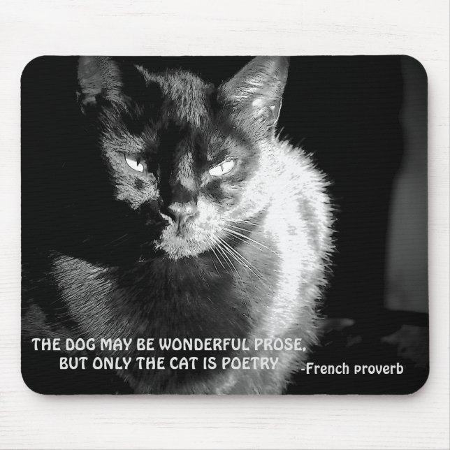 Mousepad Gato Preto Maine Coon com Provérbio Francês (Frente)