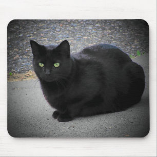 Mousepad Gato Preto Preso num raio de lua
