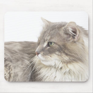 Mousepad Gato que encontra-se para baixo