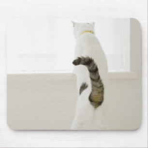 Mousepad Gato que olha para fora a janela, vista traseira