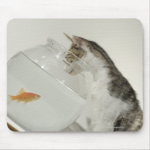 Mousepad Gato que olha peixes no fishbowl