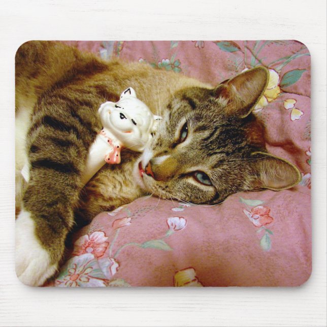 Mousepad Gato Real, Gato Falso (Frente)