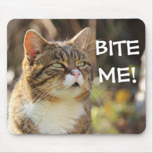 Mousepad Gato Sassaz Engraçado com Atitude me morde