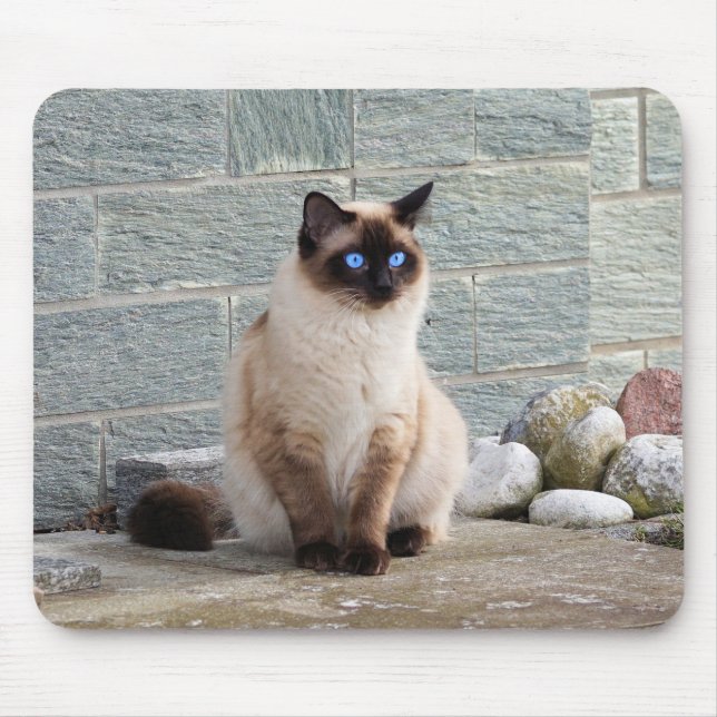 Mousepad Gato, Siamês, Animal (Frente)