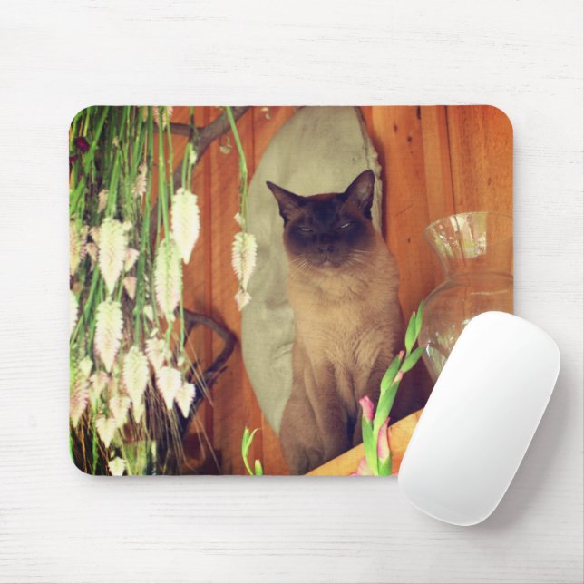 Mousepad Gato Siamês Possuindo #1 (Com mouse)