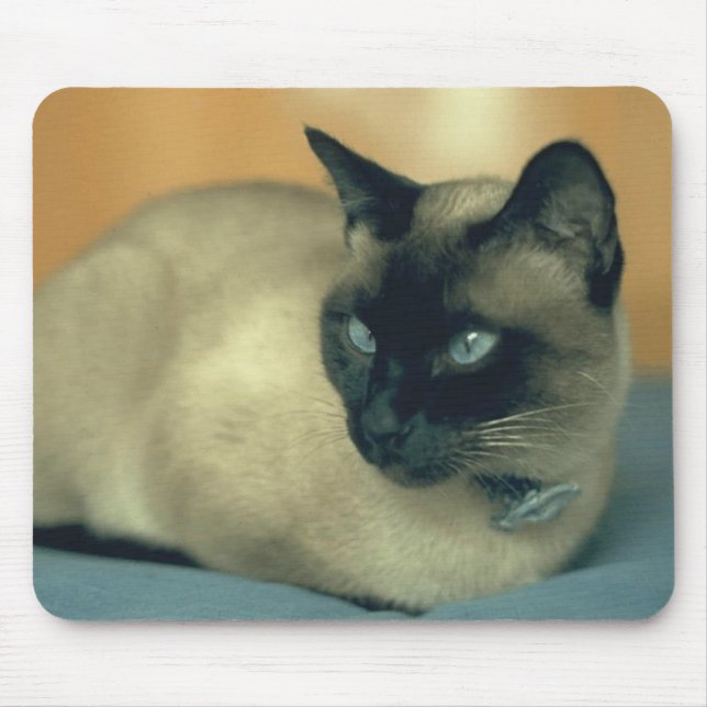 Mousepad Gato Siamese (Frente)