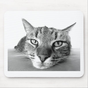 Mousepad Gato Sonolento