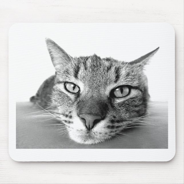 Mousepad Gato Sonolento (Frente)