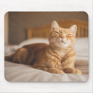 Mousepad Gato sonolento das imagens de Getty