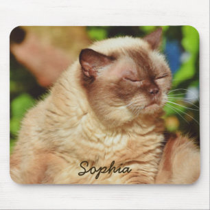 Mousepad Gato Sonolento Engraçado Para Adolescentes De Gati