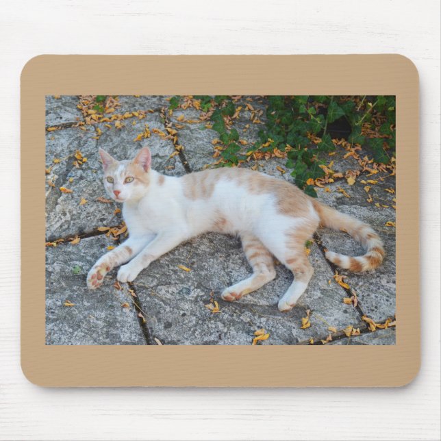 Mousepad Gato sortudo acordado (Frente)