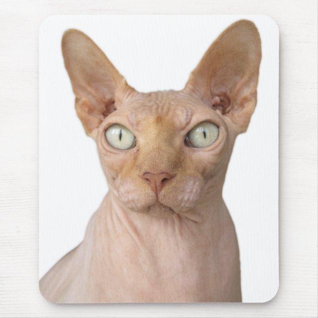 Mousepad Gato Sphynx Sem Cabeça (Frente)