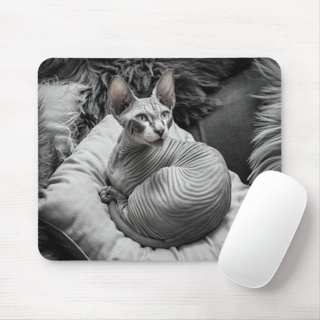 Mousepad Gato Sphynx Sem Cabeça (Com mouse)