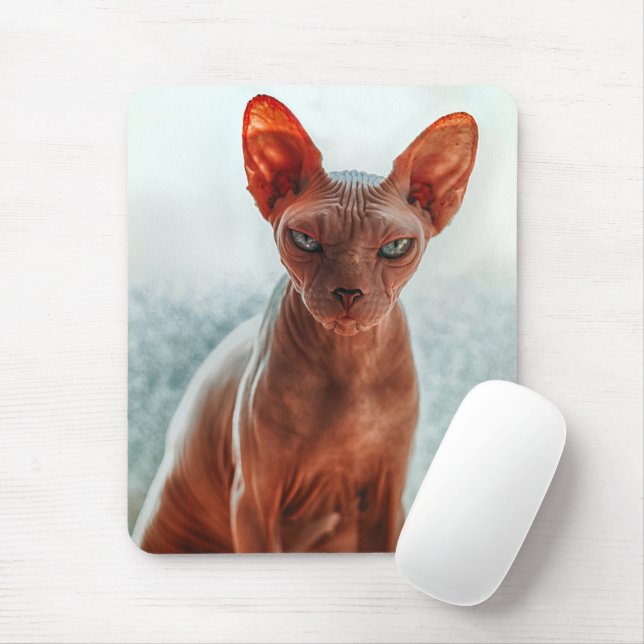 Mousepad Gato Sphynx Sem Cabelo Grumpy (Com mouse)