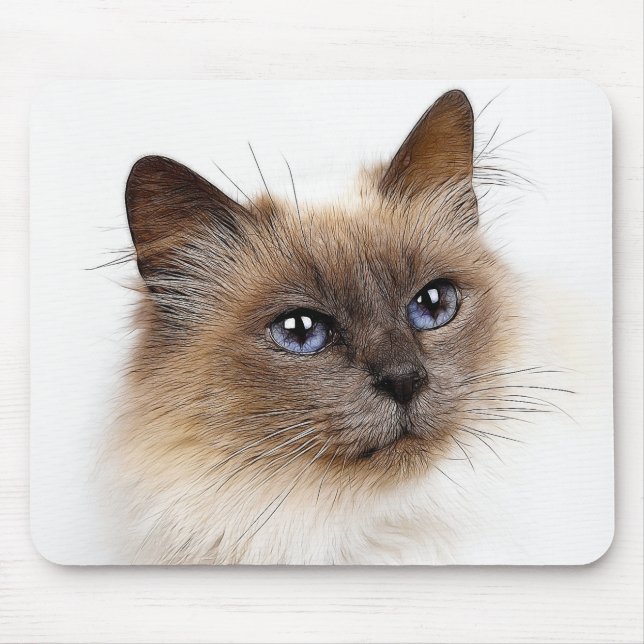 MOUSEPAD GATOS (Frente)
