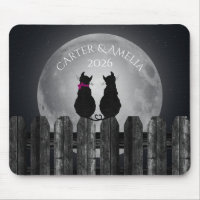 Gatos à Lua com Nomes