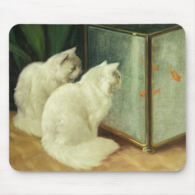 Mousepad Gatos brancos que olham o peixe dourado (Frente)