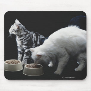 Mousepad Gatos com a bacia de comida