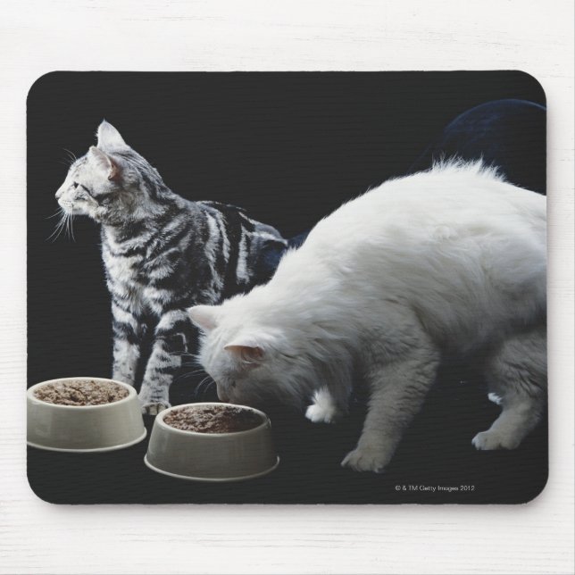 Mousepad Gatos com tigela de comida (Frente)