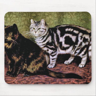 Mousepad Gatos de gato malhado da concha de tartaruga e da