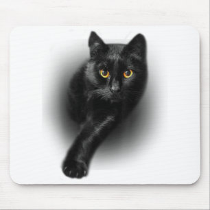 Mousepad Gatos de Gatos Amarelos de Gato Negro Dia de as mã