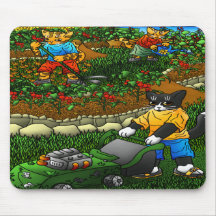 Gatos De Jardinagem De Verão