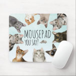 Mousepad Gatos Engraçados | MOUSEpad, Você Diz?<br><div class="desc">Boca-papa bonitinha com várias raças de gatos olhando para você de cima. Ilustrações em aquarela de bombardeio,  ragdoll,  azul-russo,  taipa-curta-americana e gatos siameses sobre fundo azul-claro. Alguém disse MOUSEpad? Vamos sentar-nos nele e esperar que o rato volte.</div>