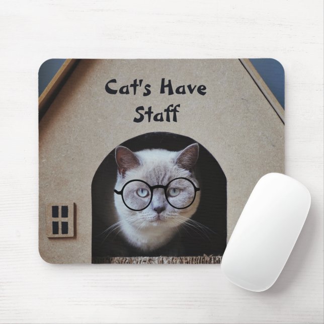 Mousepad Gatos Fotográficos De Gato Bonito Têm Funcionarios (Com mouse)