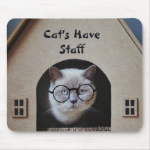 Gatos Fotográficos De Gato Bonito Têm Funcionarios