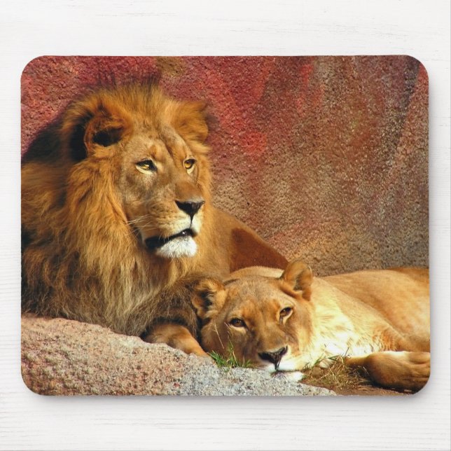 Mousepad Gatos Grandes - 6 (Frente)