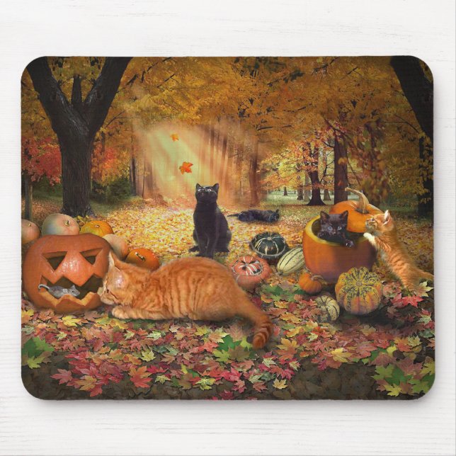 Mousepad Gatos no outono (Frente)