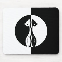 Gatos preto e branco