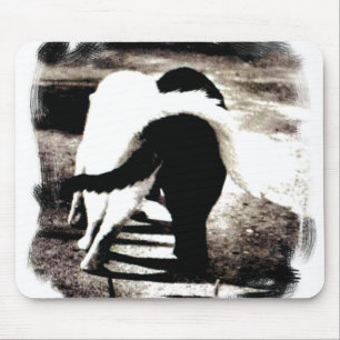 Mousepad Gatos Pretos e Brancos