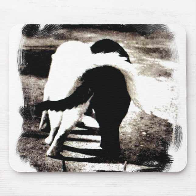 Mousepad Gatos Pretos e Brancos (Frente)