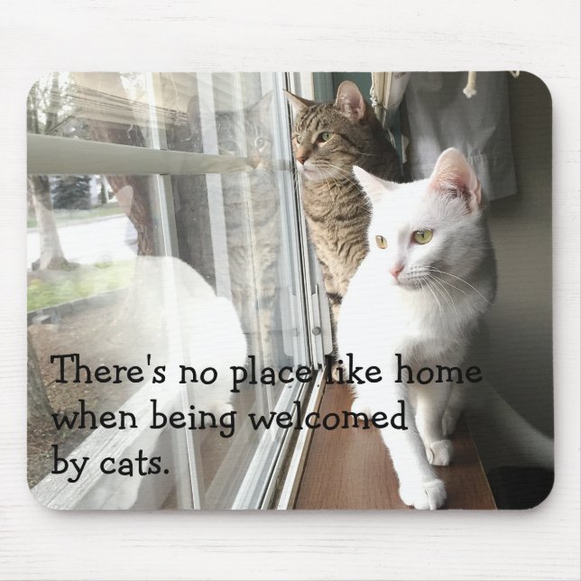 Mousepad Gatos sentados pela janela (Frente)