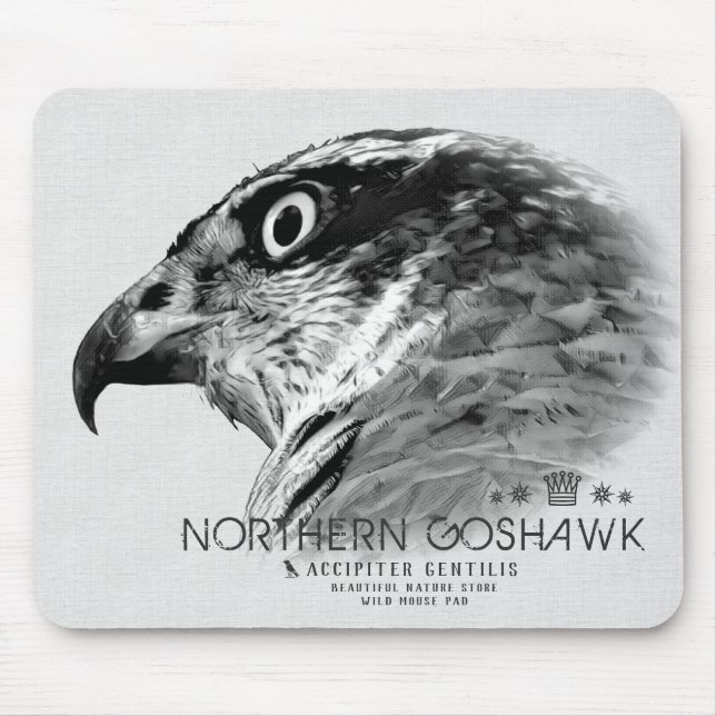 Mousepad Gavião-de-asa-curta (Frente)