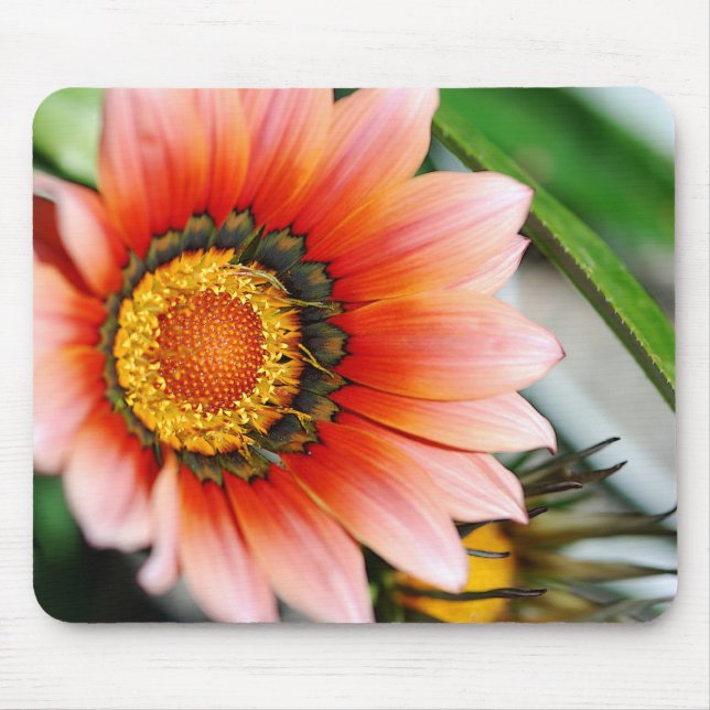 Mousepad Gazania (Frente)