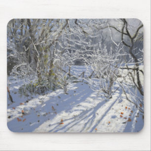 Mousepad Geada Markeaton Derby.UK.2012 do Hoar