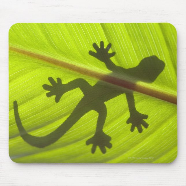 Mousepad Gecko (Frente)