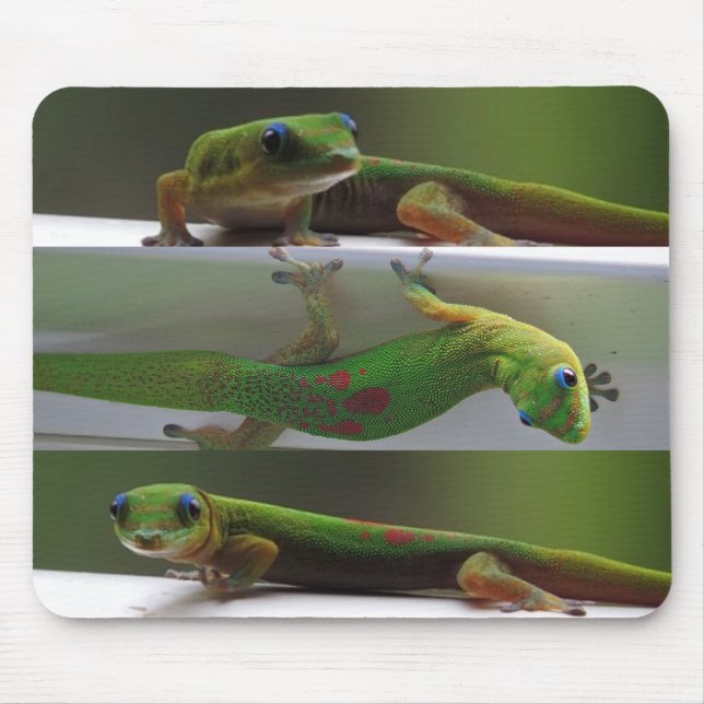 Mousepad Gecko de poeira Dourada (Frente)