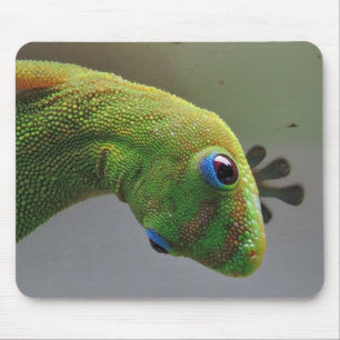 Mousepad Gecko.JPG