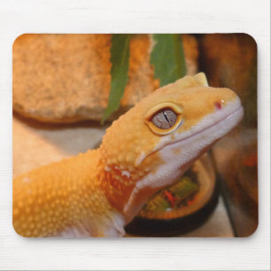 Mousepad Gecko Leopardo Amarelo