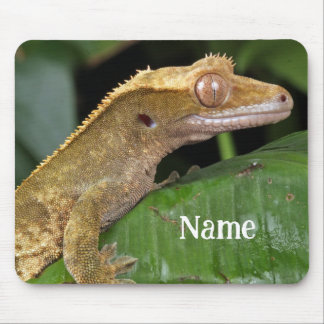 Mousepad Gecko Pet Lizard preso personalizado