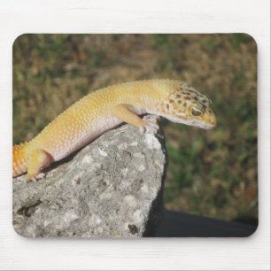 Mousepad Geco do leopardo de SHTCT