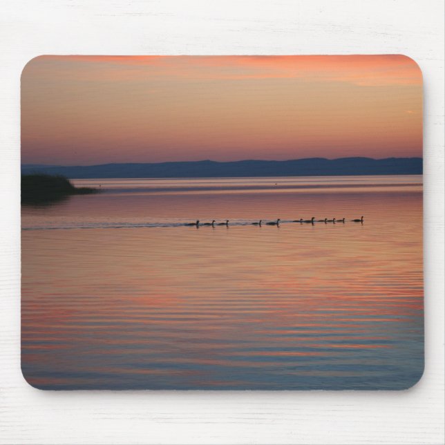 Mousepad Geese (Frente)